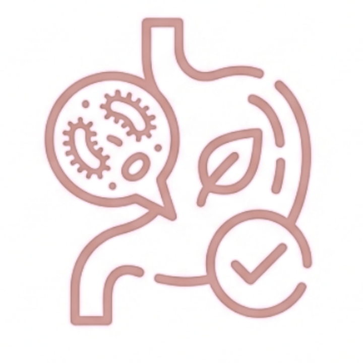 Line art description of digestive system with bacteria, leaf and checkmark representing gut health