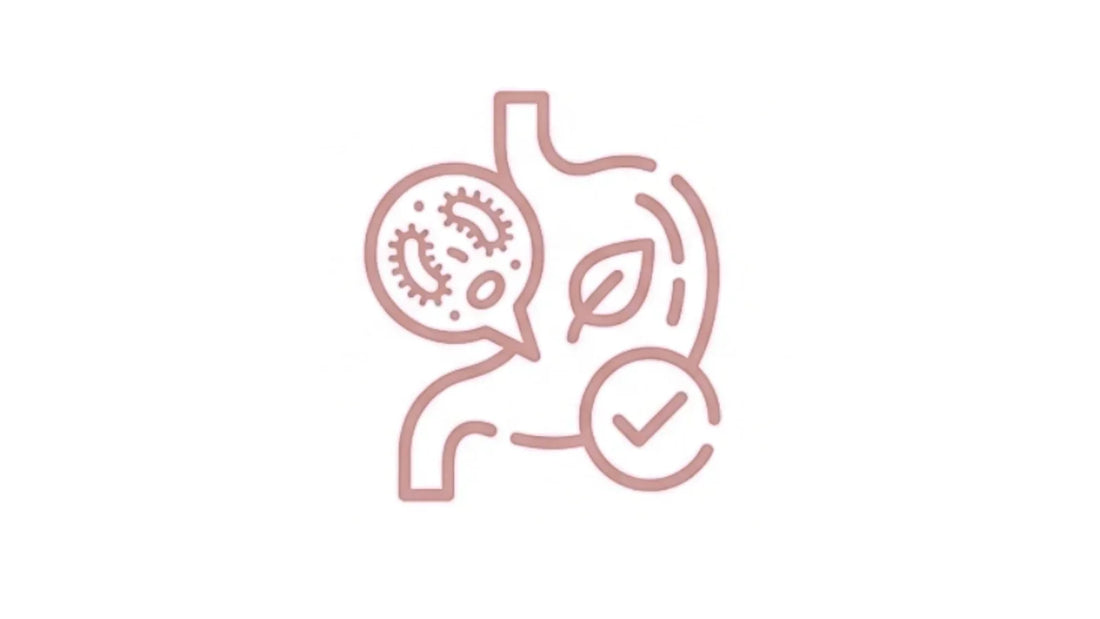 Line icon of digestive tract with bacteria, leaf and checkmark representing healthy gut microbiome balance.  