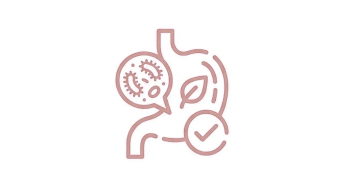 Line icon of digestive tract with bacteria, leaf and checkmark representing healthy gut microbiome balance.  