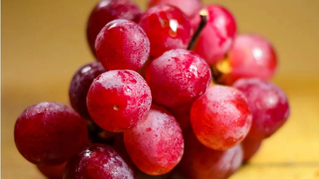 Red grapes , a natural source of resveratrol for immune and cell health. 