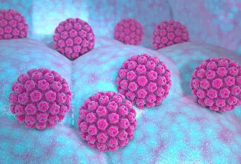 3D Illustration of HPV Virus cells, representing human papilloma virus