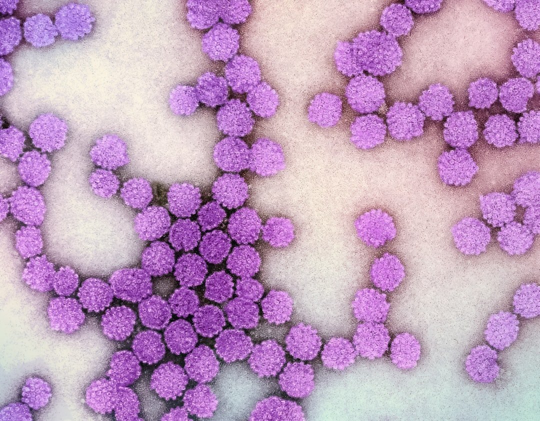 What is HPV?