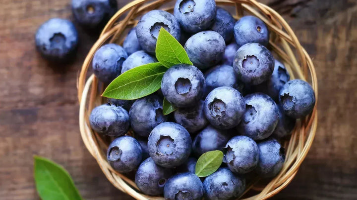 Fresh blueberries in a wooden basket with green leaves, rich in antioxidants