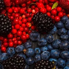 Close up of mixed berries including blueberries, blackberries, and red currants rich in antioxidants.