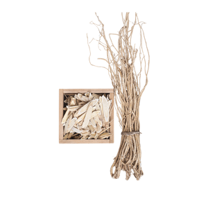 Astragalus
