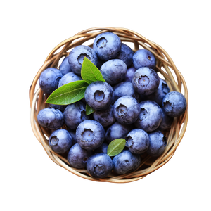 Resveratrol