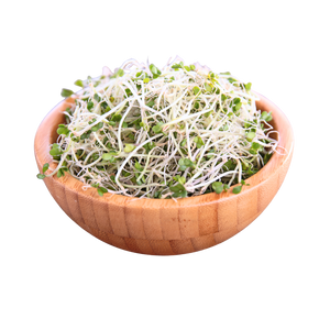 Broccoli Sprout Extract