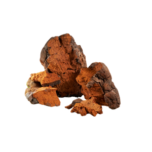 Chaga Mushroom