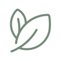 Root Cause Focus