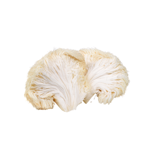 Lion's Mane Mushroom