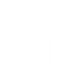 Badge icon