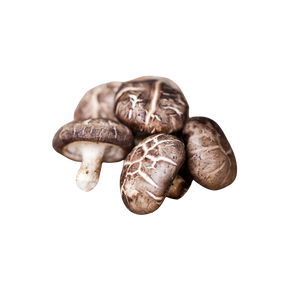Shiitake Mushroom